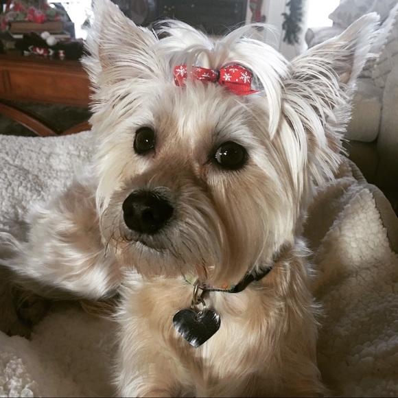 Meet your Posher, April - Picture 4 of 8